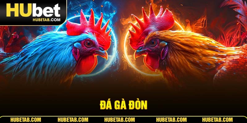 đá gà đòn